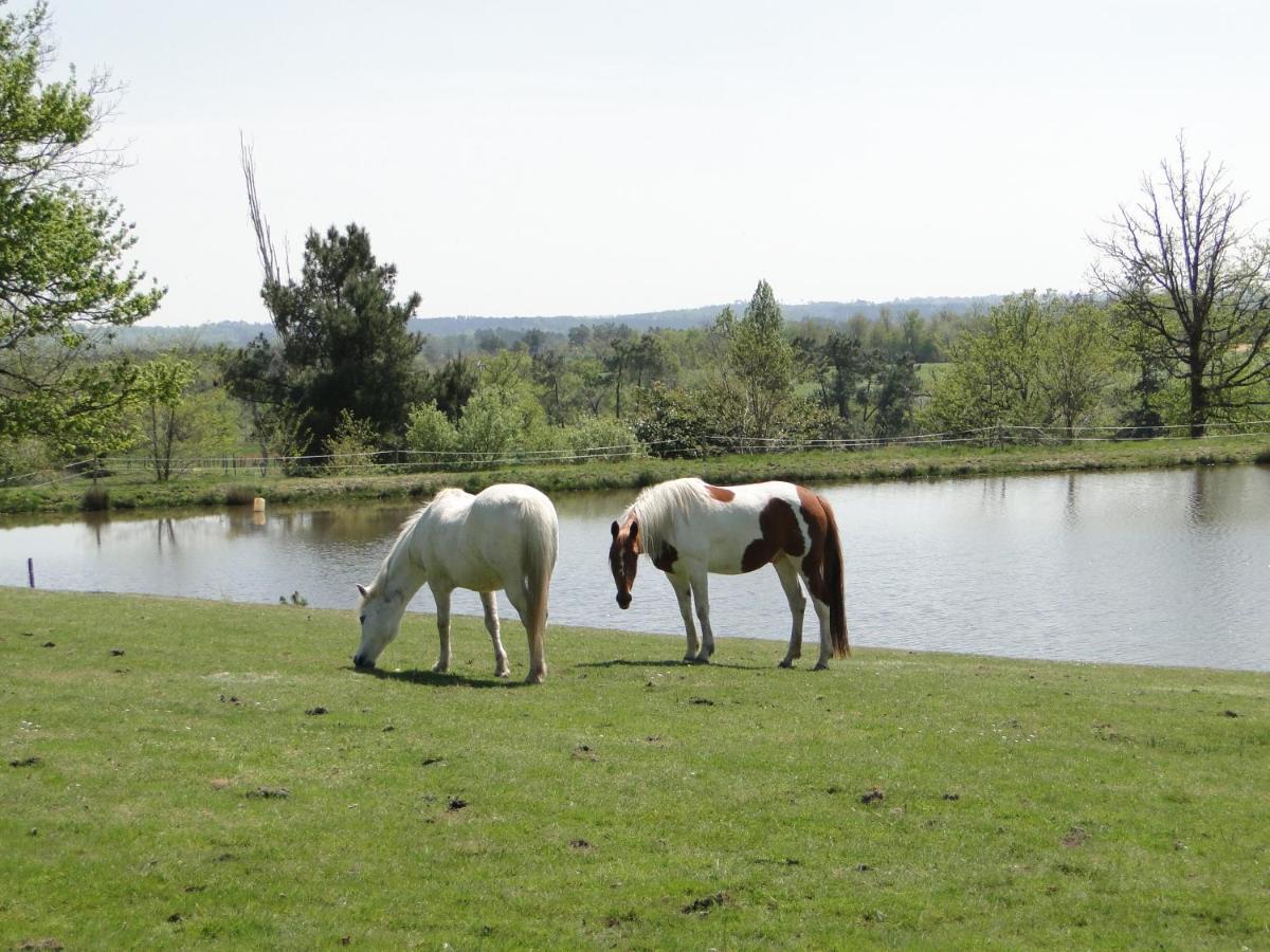 Holiday home Le Du Gueurlet Boresse-et-Martron